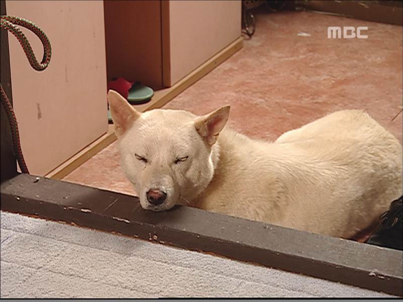 축소된 이미지 입니다, 원본을 보시려면 클릭하세요