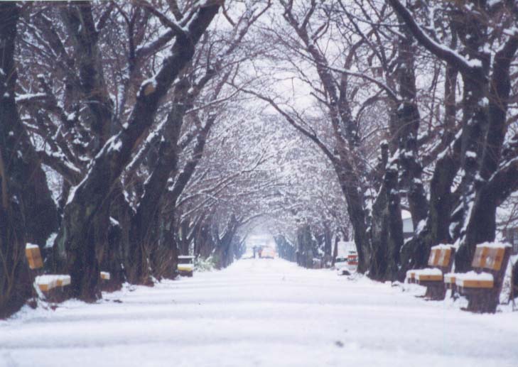 축소된 이미지 입니다, 원본을 보시려면 클릭하세요